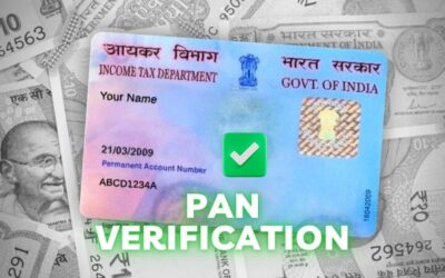 PAN Verification: Ensuring Accuracy in Business Transactions