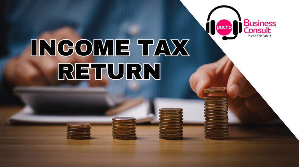 Pucho Business Blog (1) Income Tax Return Filing for Businesses – A Complete Guide
